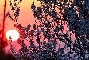 20 marca witamy astronomiczną wiosnę. Niezwykłe zjawiska czekają na niebie!