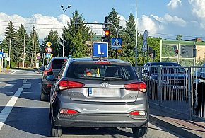 Błędy w pytaniach egzaminacyjnych na prawo jazdy