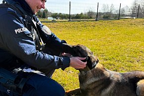 Kartuzy. Bruno i Orzech pilnują bezpieczeństwa. Dołącz do ich zespołu