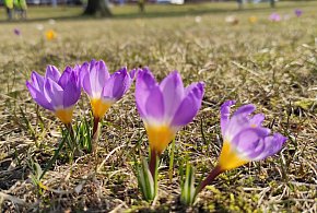 Zapowiada się słoneczna pogoda na święta