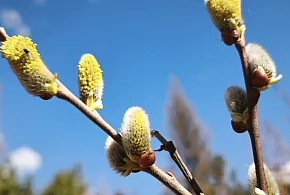 Kwiecień - plecień... czyli prognoza pogody na Wielkanocny weekend