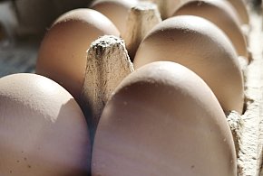 Bez nich trudno sobie wyobrazić Wielkanoc. Dlaczego jajka są tak wartościowym skła