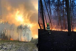 W lasach jest skrajnie sucho. Leśnicy: apelujemy o ostrożność
