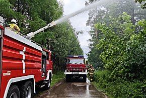 Setki metrów linii gaśniczej i drony nad lasem. Duże manewry w Połęczynie