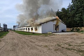 Kobysewo. Pożar kurnika i budynku mieszkalnego