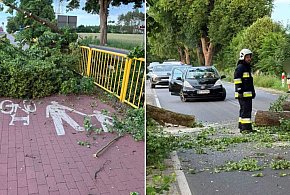 Gowidlino. Potężny konar runął na ścieżkę rowerową