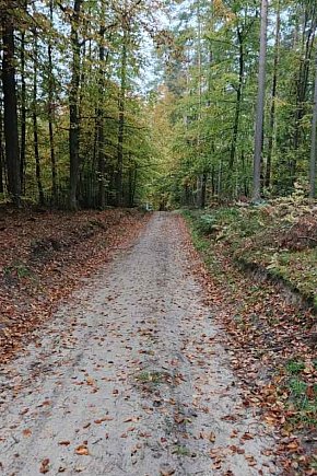 Trasy Nordic Walking w Sulminie-30242