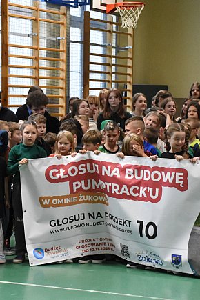 Niestępowo - apel ws. budżetu obywatelskiego-30267