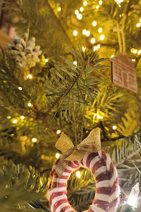 Galeria Waszych choinek 2025-30456