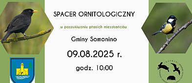 Spacer ornitologiczny-311171