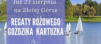 V REGATY RÓŻOWEGO GOŹDZIKA KARTUZKA-313266