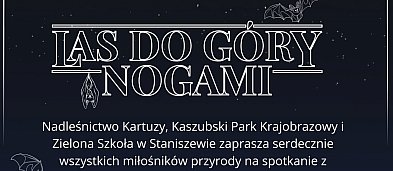 Las do góry nogami - spotkanie z nietoperzami-314202