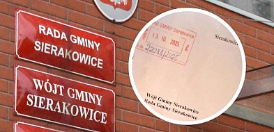 Sierakowice. Petycja ws. referendum złożona. Pomogliśmy!-72465