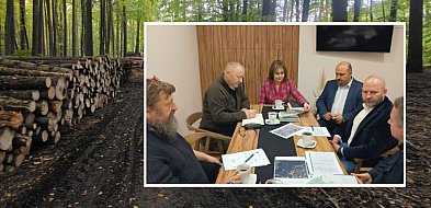 Sulmin. Wycinka lasu zostanie wstrzymana. To reakcja na sygnały mieszkańców-73032
