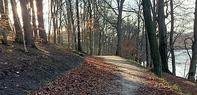 Kartuzy. Ścieżka nad Jez. Klasztornym Dużym zamknięta z powodu wycinki drzew-74922