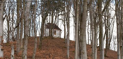 Kartuzy. Góra Spiczasta czeka na zagospodarowanie. Ale nie będzie łatwo-74940