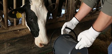 O chorobach zagrażających produkcji zwierzęcej. Bezpłatne szkolenie