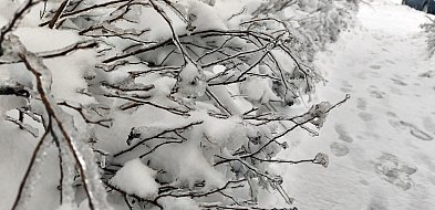 Na Kaszubach cały czas mróz będzie dawał w kość. Są nowe ostrzeżenia