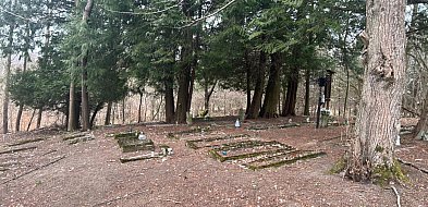 Kamela. Ktoś zaśmieca las przy dawnym cmentarzu. Gmina apeluje