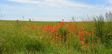Żukowo. Można już zgłaszać do konkursu piękne wsie i zadbane zagrody