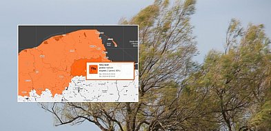 W sobotę będzie silnie wiało na Kaszubach. Jest "pomarańczowy" alert