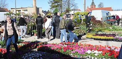 Sierakowice. Święto kwiatów i krzewów rozpoczęło majówkę