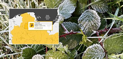 Nadchodząca noc będzie wyjątkowo chłodna. Ostrzeżenie przed przymrozkami