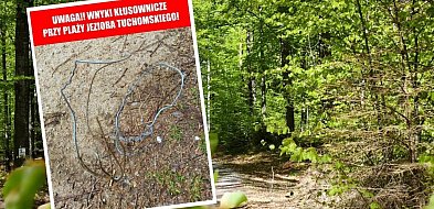 Ktoś rozstawia wnyki nad Jeziorem Tuchomskim? Stowarzyszenie ostrzega