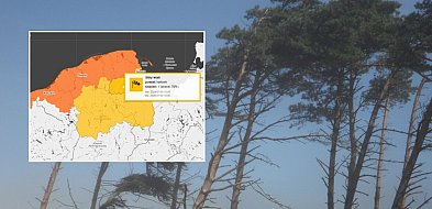 Zapowiada się bardzo wietrzny piątek na Kaszubach. IMGW ostrzega