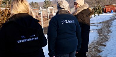 W województwie pomorskim ruszyły kontrole schronisk dla zwierząt