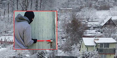 Kartuzy. Plaga włamań na ogródkach działkowych. 41-latek kradł co popadnie