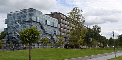 Studia w Holandii – edukacja, która uczy samodzielności i myślenia globalnego