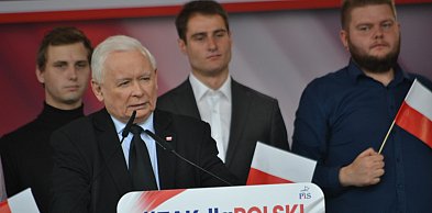 Możliwy sojusz PiS z partią Brauna? Kaczyński: nie ma mowy