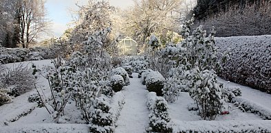 Luty w ogrodzie. 5 rzeczy, które możesz zrobić już w ten weekend