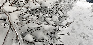 Na Kaszubach cały czas mróz będzie dawał w kość. Są nowe ostrzeżenia