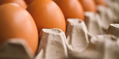 Groźne bakterie w partii jaj. Jest komunikat GIS