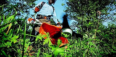 Cedrus – dlaczego warto wybrać sprawdzone maszyny ogrodnicze dostępne na Ewimax.pl