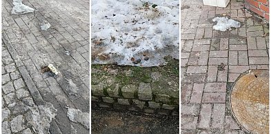 Kartuzy. Psie kupy nie znikają jak śnieg. Apel do właścicieli czworonogów