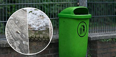 Kartuzy. Brakuje koszy na śmieci. "Gdzie mamy wyrzucić psie kupy?"