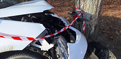 Egiertowo. Osobówka uderzyła w drzewo. Jedna osoba poszkodowana