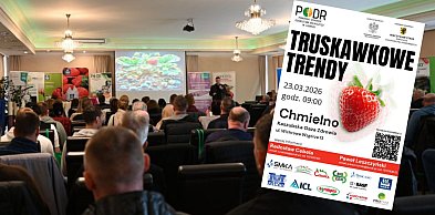 Truskawkowa wiedza w jednym miejscu. Konferencja dla plantatorów w Chmielnie