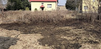 Pałubice. Pożar łąki. Policja przypomina: wypalanie traw jest nielegalne