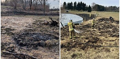 Strażacy walczą z pożarami traw. Wbrew pozorom to niebezpieczne zdarzenia