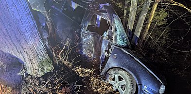 Złota Góra. Osobówka uderzyła w drzewo. Kierowca został poważnie ranny