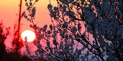 20 marca witamy astronomiczną wiosnę. Niezwykłe zjawiska czekają na niebie!