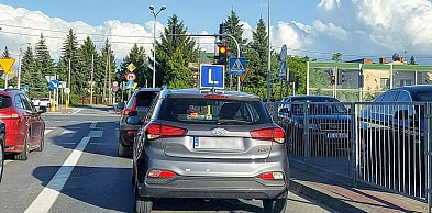 Błędy w pytaniach egzaminacyjnych na prawo jazdy