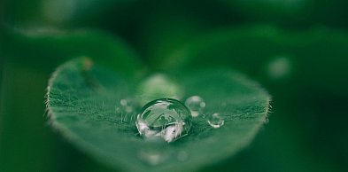 Kosmetyki naturalne – świadoma pielęgnacja w zgodzie z naturą