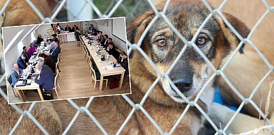 Pomimo skarg Somonino zostaje przy kontrowersyjnym schronisku