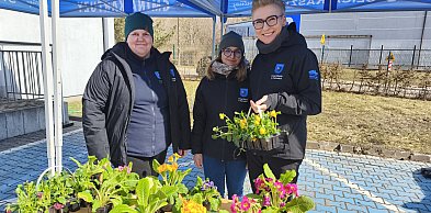 Kartuzy. Akcja "Kwiaty za elektroodpady". Rozdano 5 tys. wiosennych sadzonek