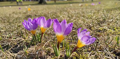 Zapowiada się słoneczna pogoda na święta